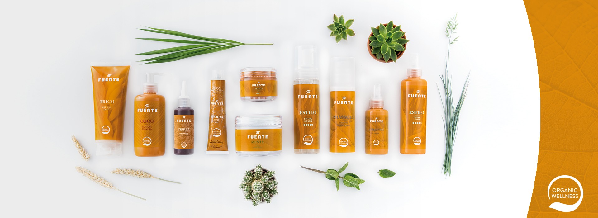 FUENTE Organic Attraction